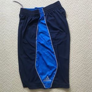 Adidas Climalite Shorts
